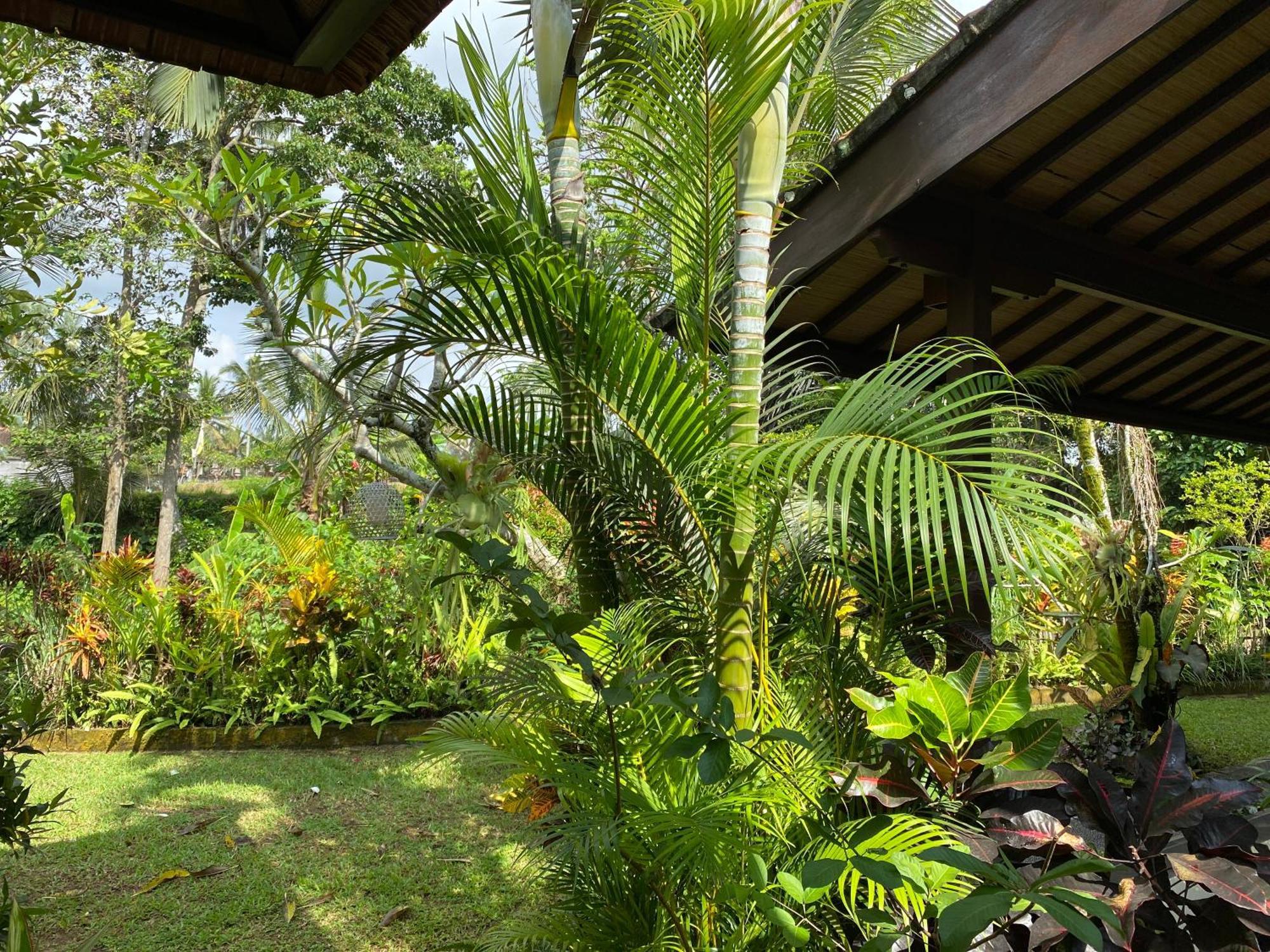 Villa Alam Surya Ubud Exteriér fotografie