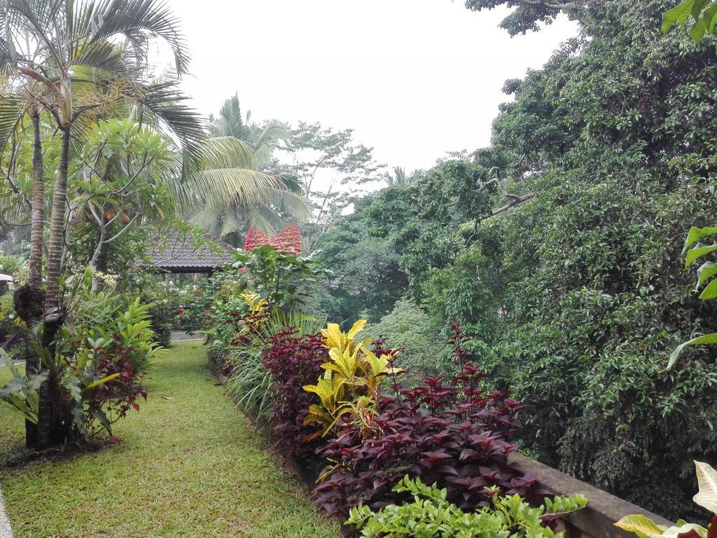Villa Alam Surya Ubud Exteriér fotografie