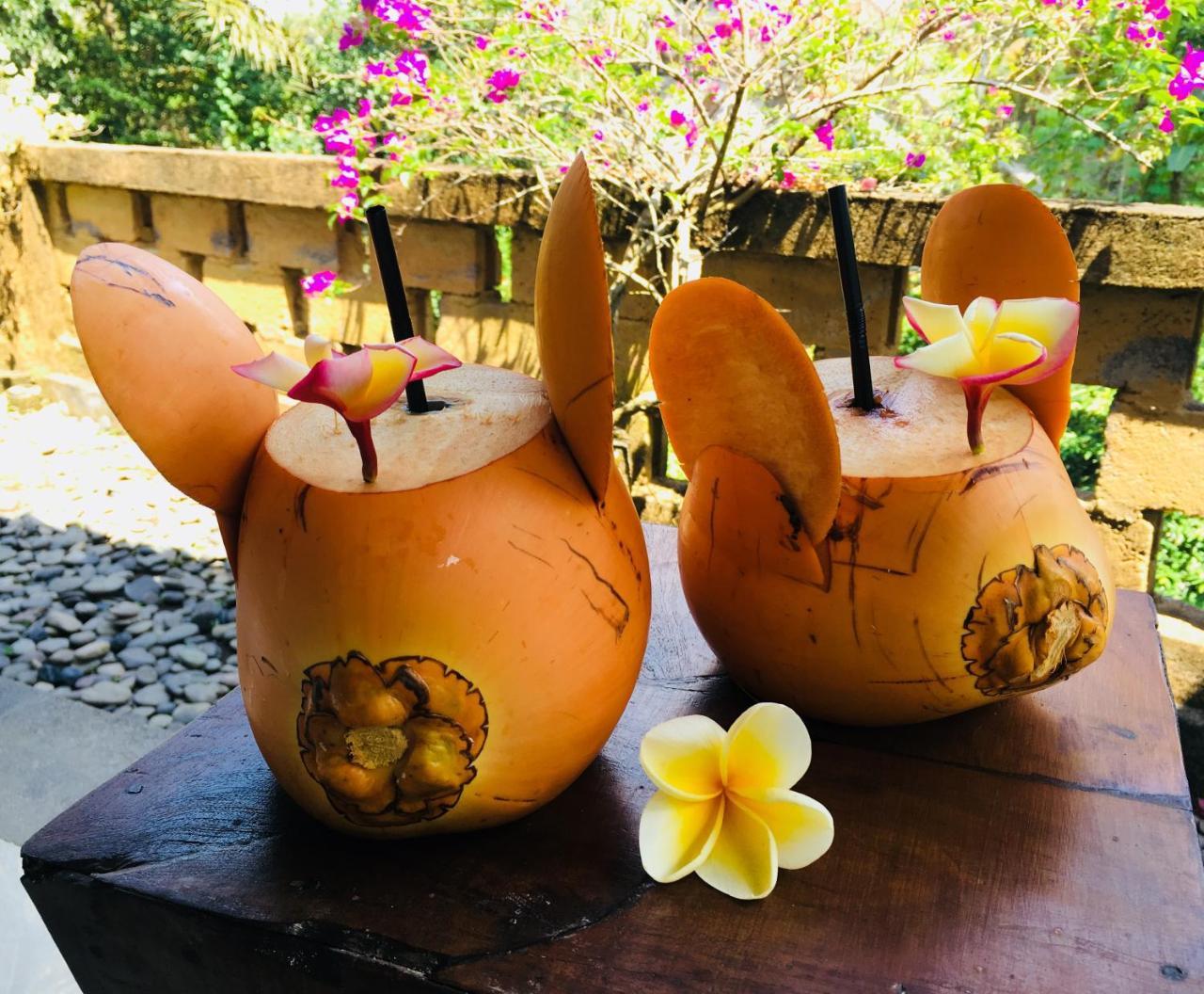 Villa Alam Surya Ubud Exteriér fotografie