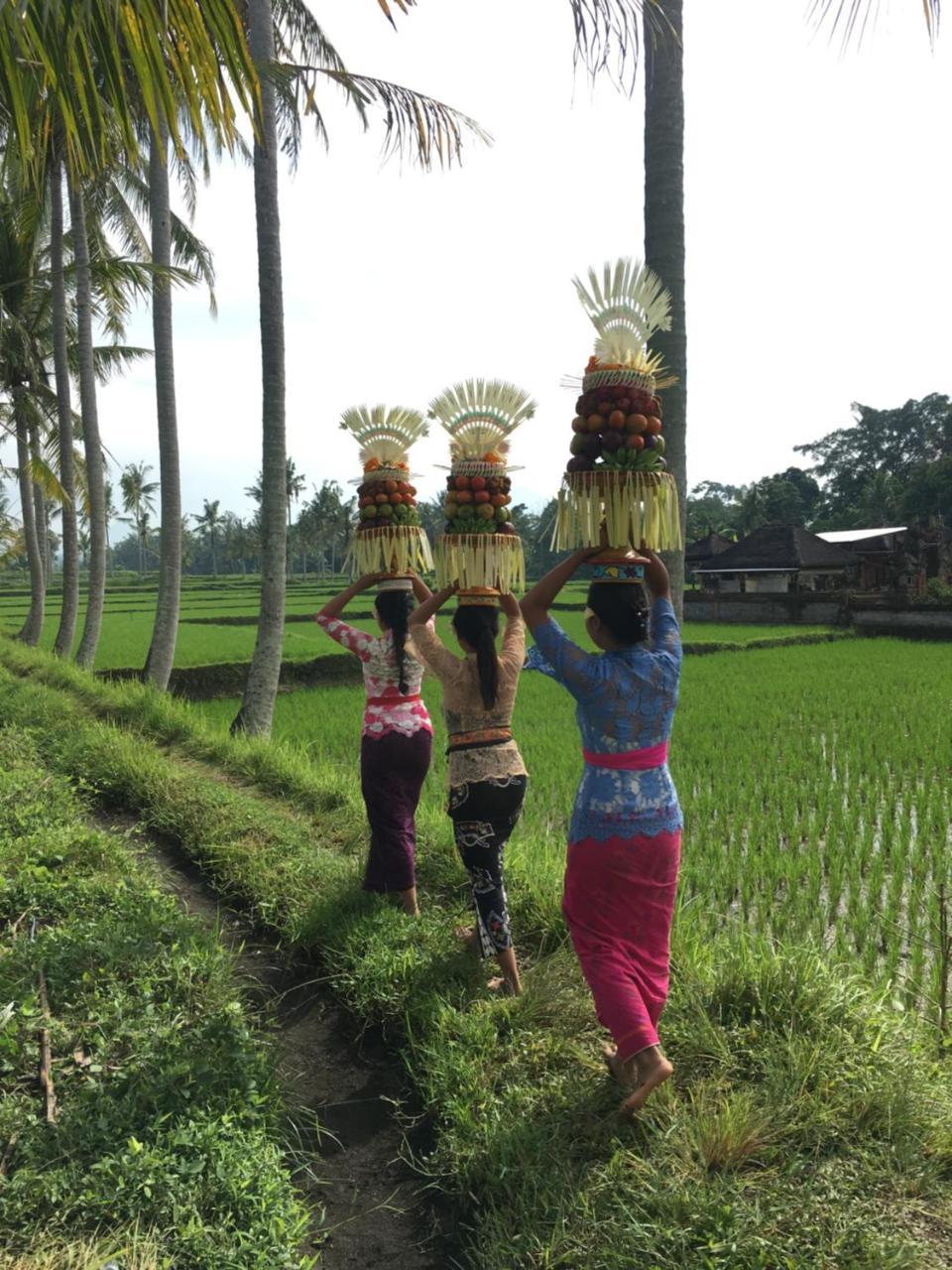 Villa Alam Surya Ubud Exteriér fotografie